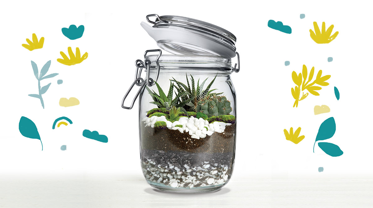 Comment fabriquer un terrarium ? - J'aime lire