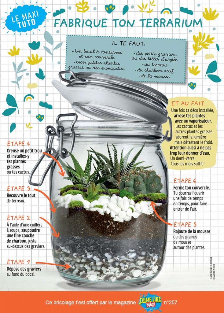 Le charbon actif pour terrarium est-il nécessaire ? - Plantoj